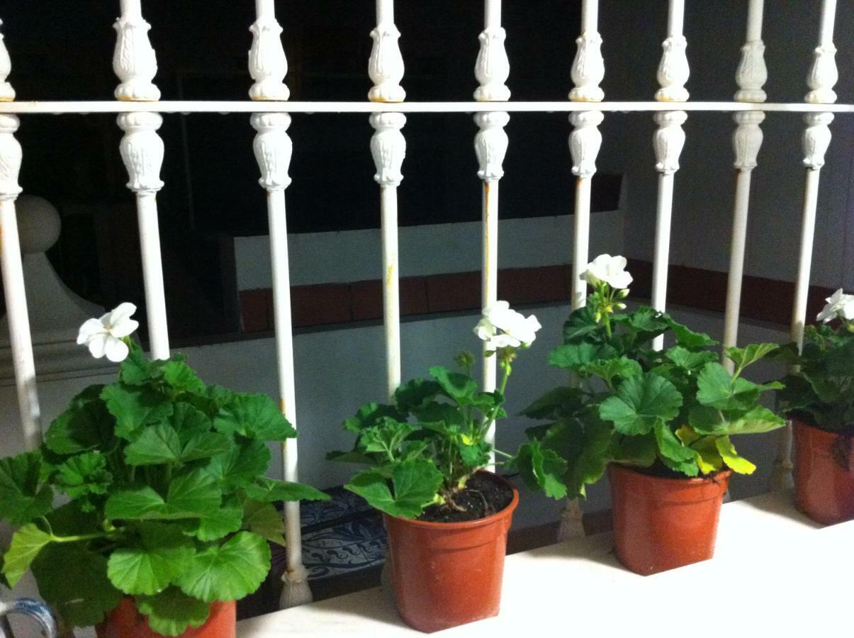 Atico Amistad Sevilla Exterior foto